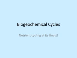 Biogeochemical Cycles Note Slides File