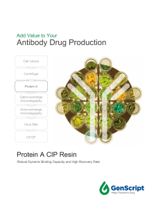 Protein A CIP Resin