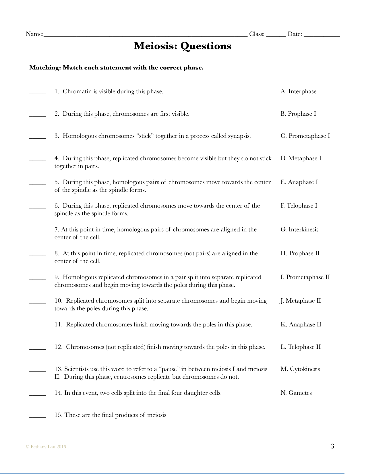 Meiosis: Questions With Regard To Meiosis Matching Worksheet Answer Key