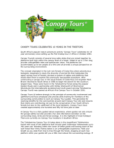 canopy tours celebrates 10 years in the treetops