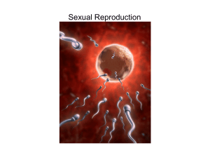 sexual reproduction