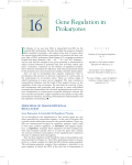 Gene Regulation in Prokaryotes