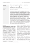 Nonribosomal peptide synthesis in Aspergillus