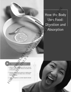 How the Body Uses Food: Digestion and Absorption