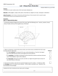 SBI4U - sheep brain dissection REVISED