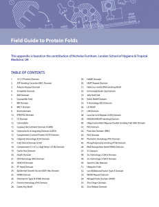 Field Guide to Protein Folds