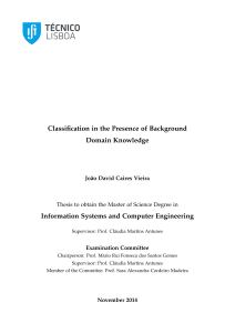 Classification in the Presence of Background Domain Knowledge