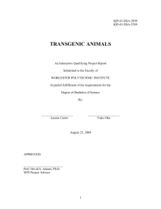 transgenic animals - Worcester Polytechnic Institute