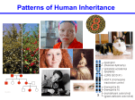 Patterns of Human Inheritance