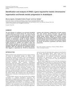 DYAD in meiotic chromosome organisation - Development