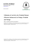 Utilisation of Anvils by the Trinidad Motmot
