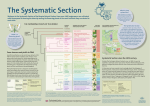 sign, The Systematic Section