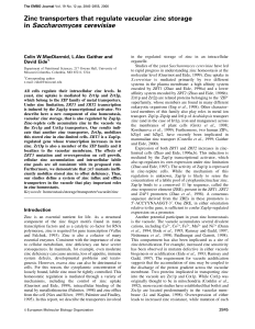 Zinc transporters that regulate vacuolar zinc storage in