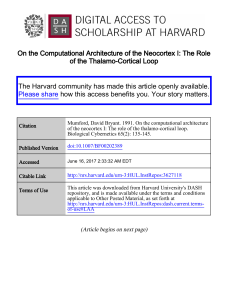 On the computational architecture of the neocortex