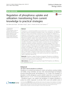 Regulation of phosphorus uptake and utilization