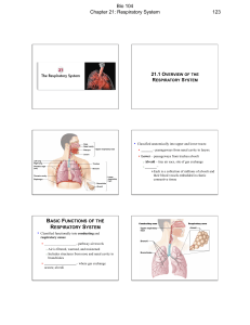 Bio 104 Chapter 21: Respiratory System 123