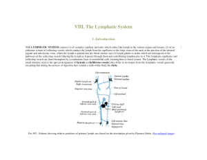 VIII. The Lymphatic System