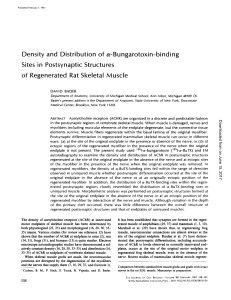 Density and Distribution of a-Bungarotoxin