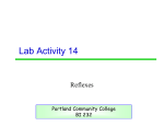 Lab Activity 14 - Portland Community College