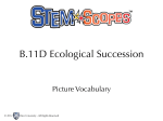 B.11D Ecological Succession