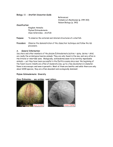 Biology 11 - Starfish Dissection Guide References: Animals w/o