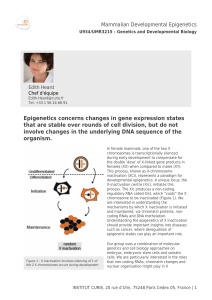 Epigenetics concerns changes in gene expression states that are