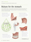 Balsam for the stomach - Bayer research Magazine