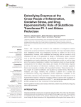 Detoxifying Enzymes at the Cross-Roads of Inflammation, Oxidative