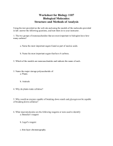 Worksheet for Biology 1107 Biological Molecules: Structure and