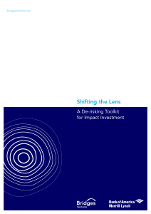 Shifting the Lens – A De-Risking Toolkit for Impact Investment