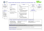 Endometrial Cancer Information Flowchart