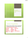 Levels of Organization of Life