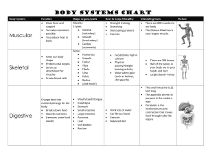 Body System chart - Issaquah Connect