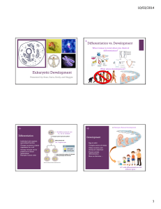 10/03/2014 1 Eukaryotic Development