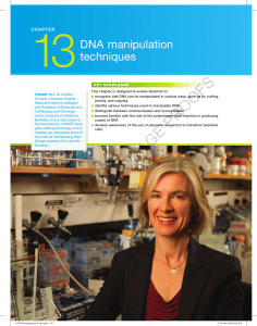 CHAPTER 13 DNA manipulation