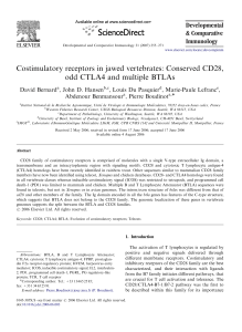 Costimulatory receptors in jawed vertebrates: Conserved