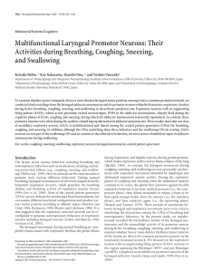 Multifunctional Laryngeal Premotor Neurons: Their Activities during