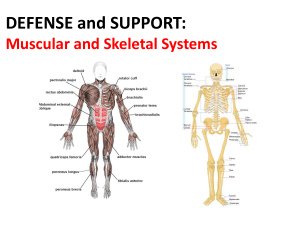 Defense ALL- Mus Skel Integ Imm Lymph 2016