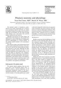 Pituitary anatomy and physiology