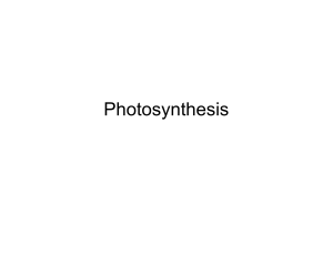 Photosynthesis - Defiance City Schools