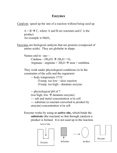 Enzymes