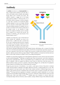 Antibody