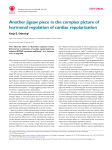 Another jigsaw piece in the complex picture of hormonal regulation