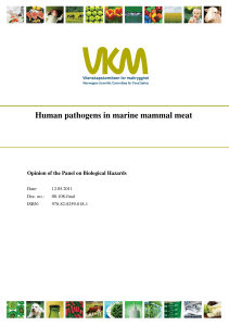 Human pathogens in marine mammal meat