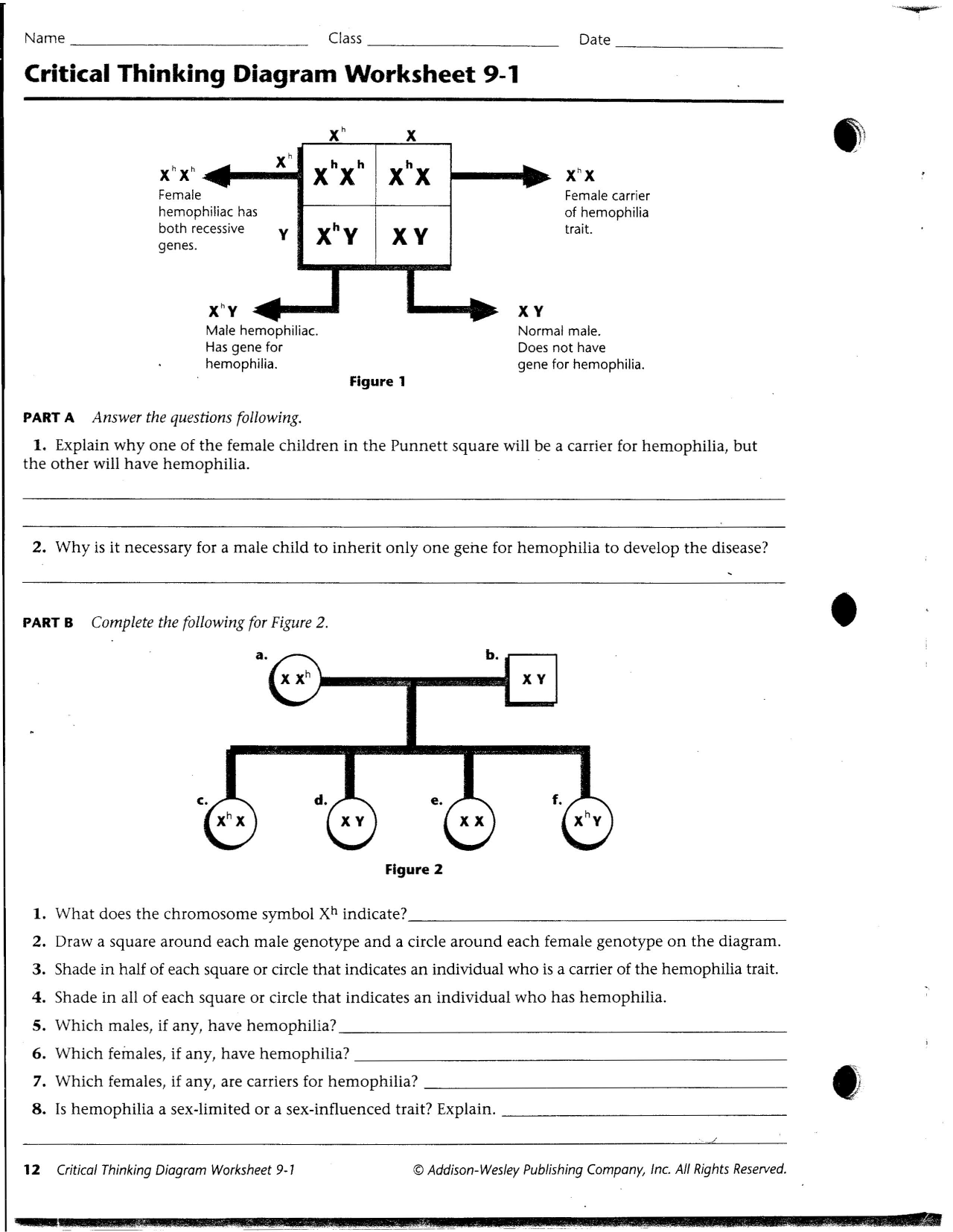 critical thinking worksheet answer key