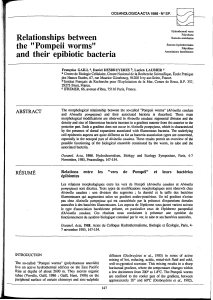 "Pompeii worms" and their epibiotic bacteria - Archimer