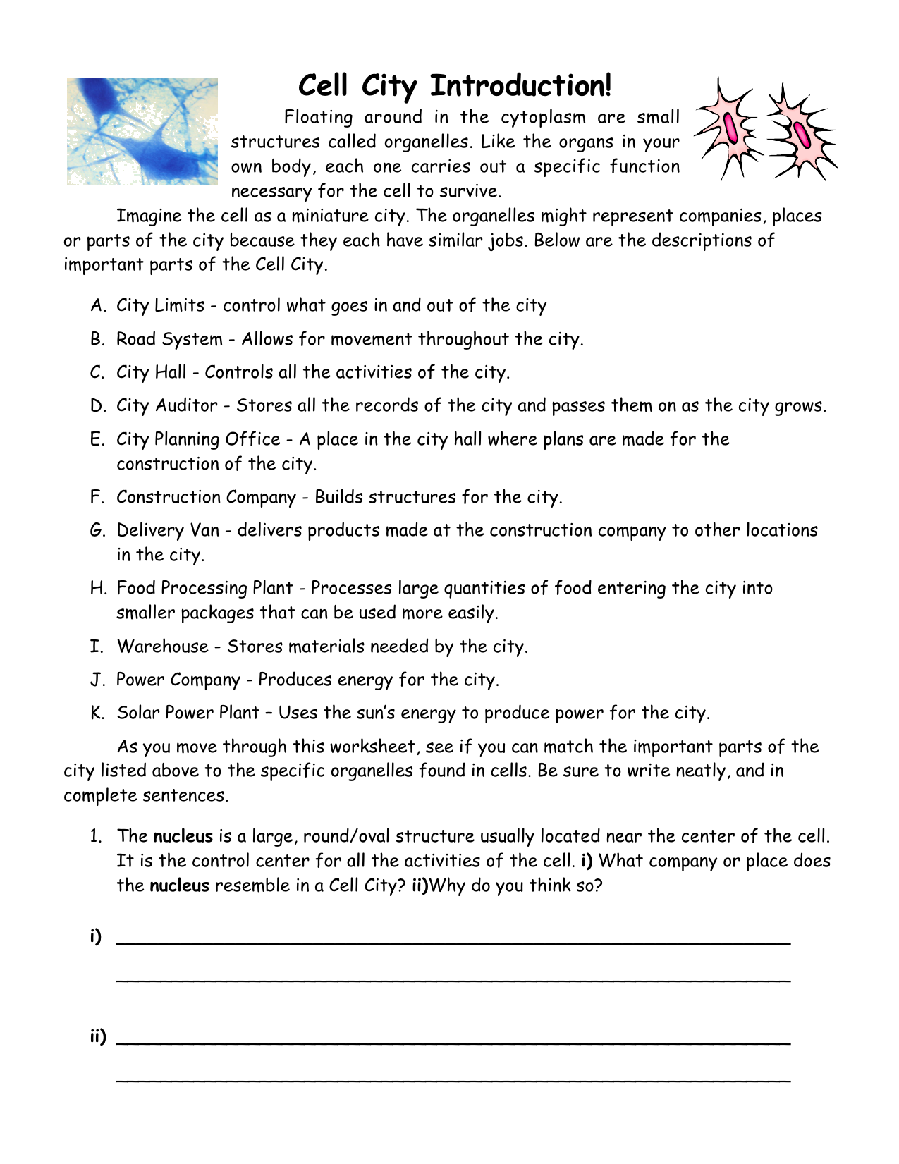 Cell city introduction worksheet