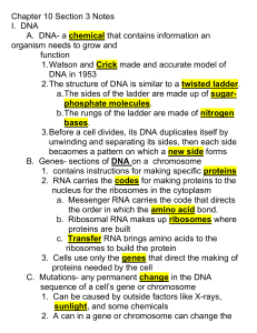 Chapter 10 Section 3 Notes Answer Key