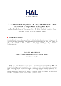 Is transcriptomic regulation of berry development more
