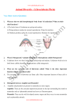 Animal Diversity – I (Invertebrate Phyla)